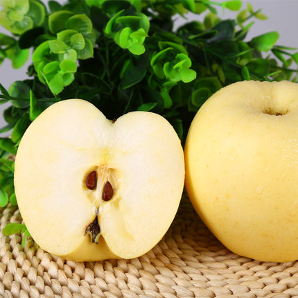 海泉 烟台黄蕉黄金帅苹果 可刮泥吃