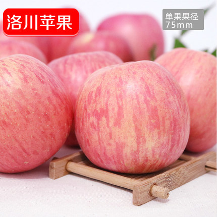 网红苹果-洛川苹果新鲜到货19.9元\/盒\/6只 口感