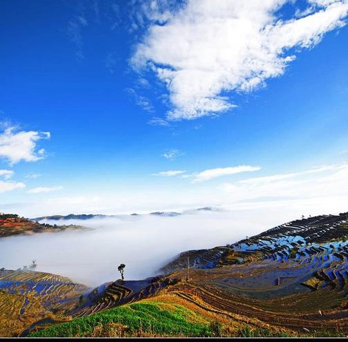 三乡情170117200508