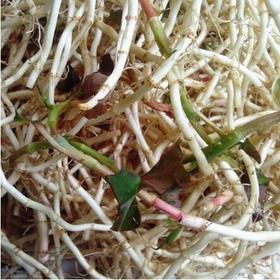 142.25鱼腥草 250克