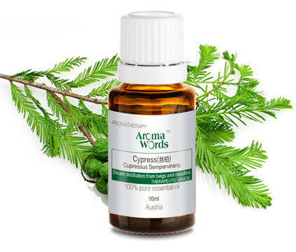cypress( 丝柏)-单方纯精油(10 ml)