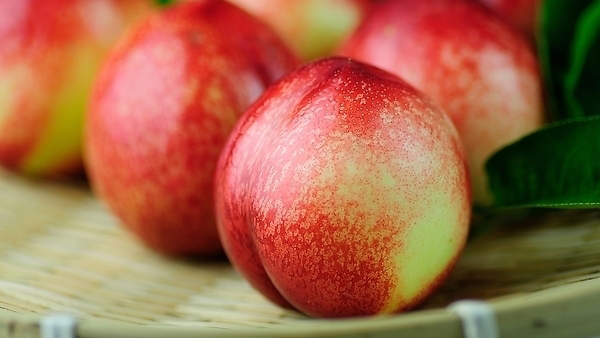 【补血益气】辽宁 油桃500g - 5·20用水果说爱你