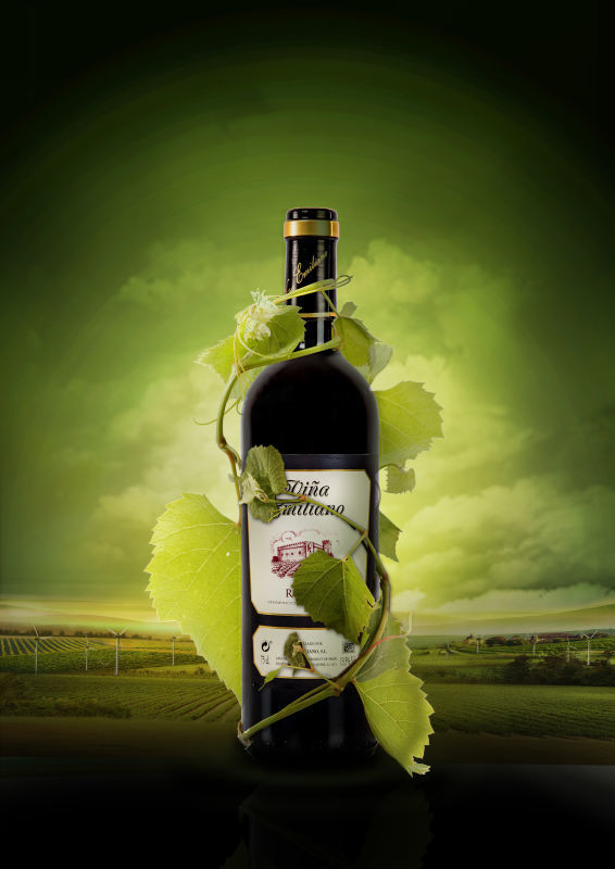 西班牙doc joven2014