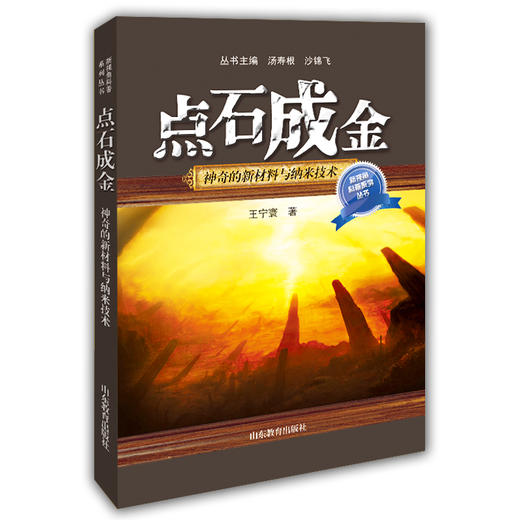 点石成金 神奇的新材料与纳米技术 王宁寰著（新视角科普系列丛书） 中国青少年儿童百科全书儿童读物科普儿童书籍6-12-15岁 商品图0