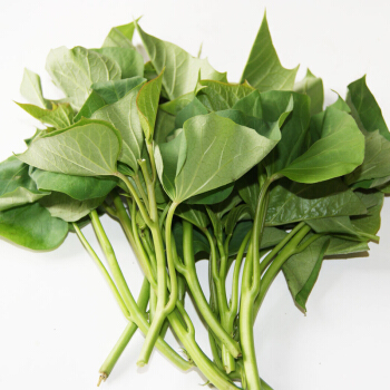 荐 有机番薯叶400g