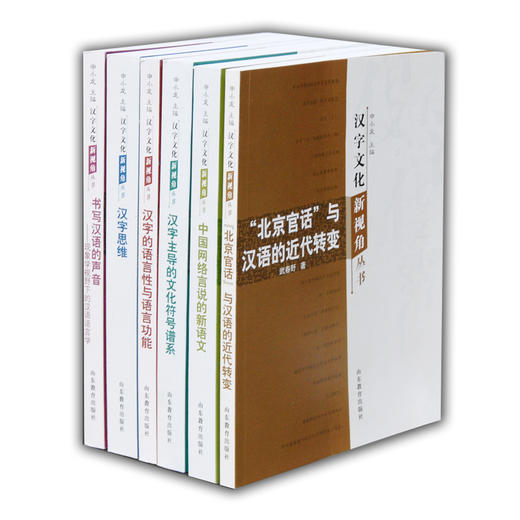 汉字文化新视角丛书（6册/套）汉字的语言性与语言功能、汉字主导的文化符号谱系、汉语语言学等 商品图0