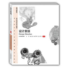 设计素描（美术与设计学精品课程系列教材）