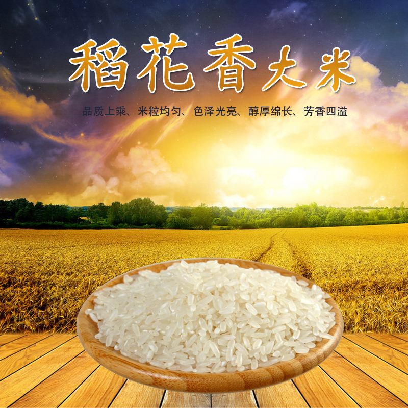 【原臻原味】 不抛光 正宗东北五常大米 黑龙江农家稻花香米 350g