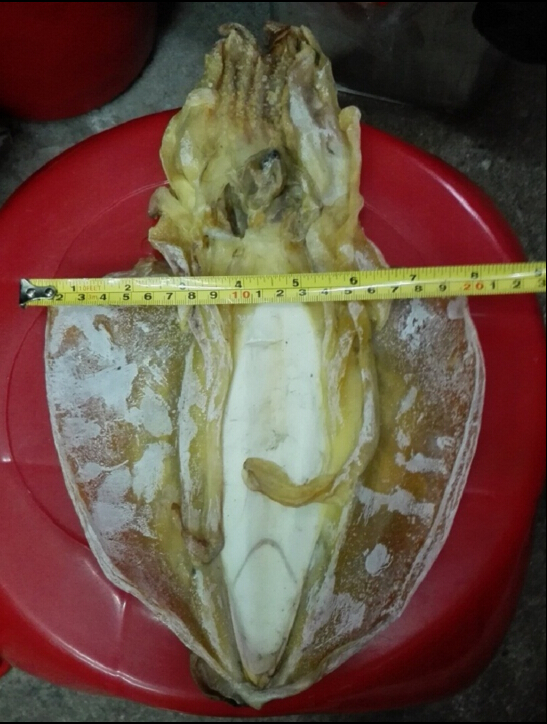 包邮 海南海产品墨鱼干250克