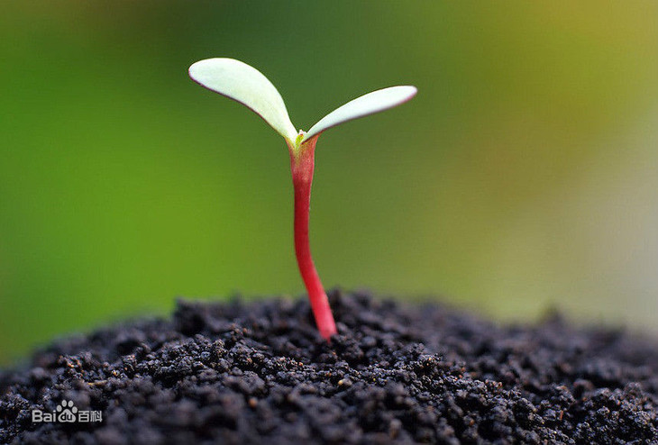 山谷居民品牌时尚苗绣壁画 - 万物生(不含边框)