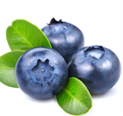 好妈妈 特产蓝莓 海南蓝莓 海南特产水果