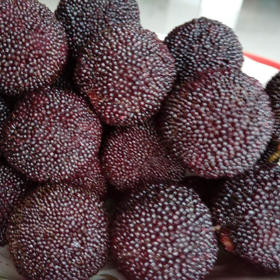 软丝】江妈妈浮宫天然杨梅