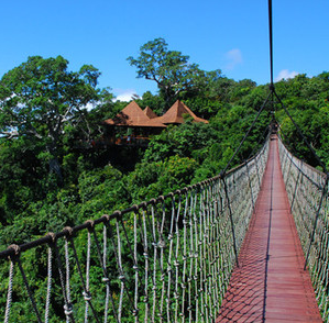 三亚亚龙湾森林公园+亚龙湾沙滩一日游纯玩,含