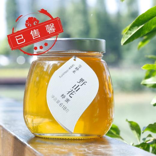 等蜂来蜂蜜 | 陕西凤县野山花蜜 商品图0