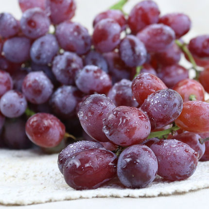 【dole都乐】进口智利无籽红提 1斤装