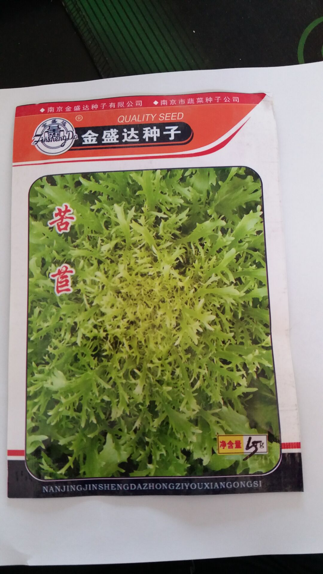 苦苣种子15g全国包邮