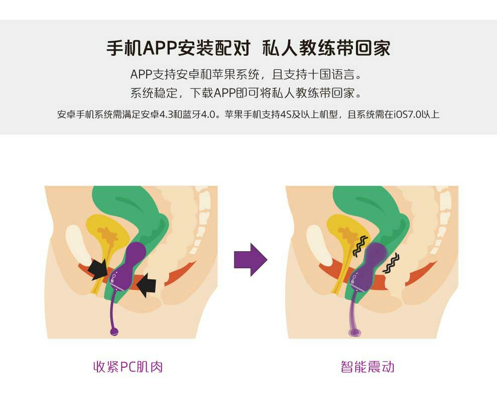魅动智能缩阴球 手机app控制 连续3小时震动 缩阴锻炼pc肌