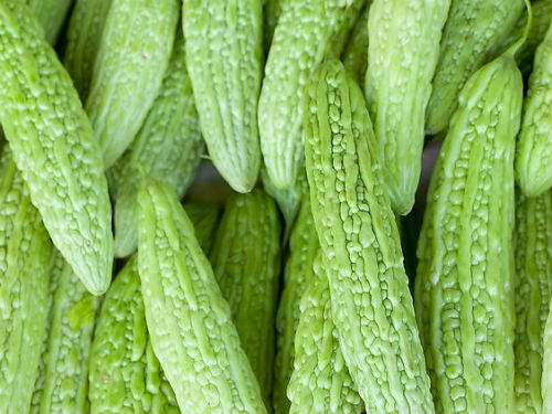 苦瓜(当天食用,隔夜熟了和黄了属于菜品特性)