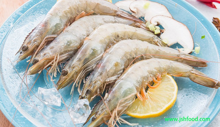 厄瓜多尔白虾 精选级 ecuado white shrimp prime