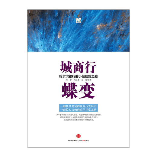 城商行蝶变：哈尔滨银行的小额信贷之路 郑智 刘兰香 范璟 金融与投资 信用管理与信贷 中信出版社图书 商品图2