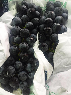 黑葡萄