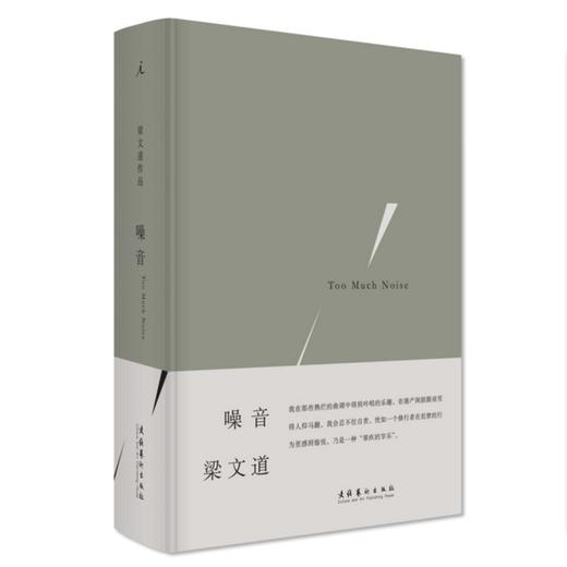 噪音  梁文道 商品图0