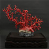 天然阿卡珊瑚树摆件 商品缩略图0