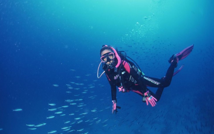 福建东山岛潜水,身临美丽的海洋世界
