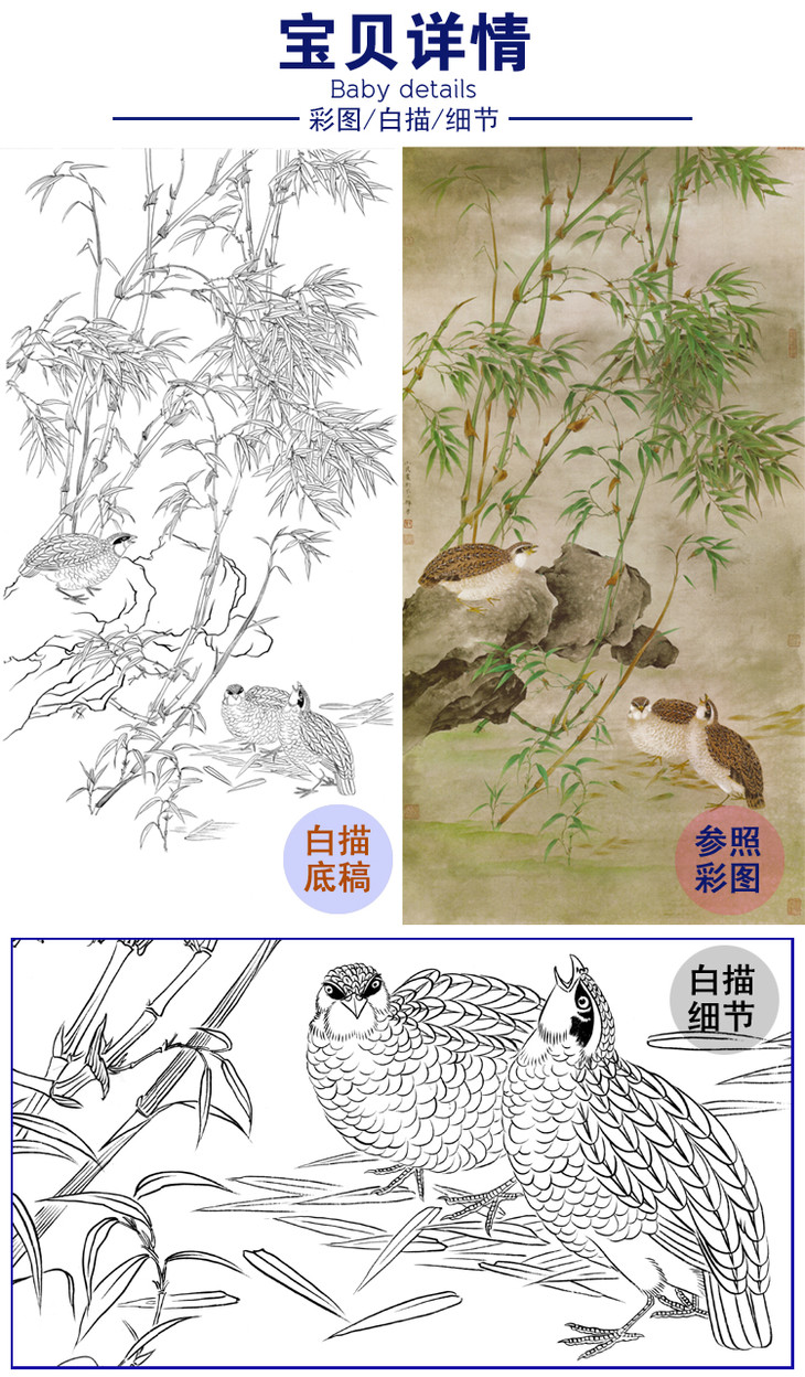 豎幅工筆花鳥白描底稿曹小民竹子鵪鶉a034