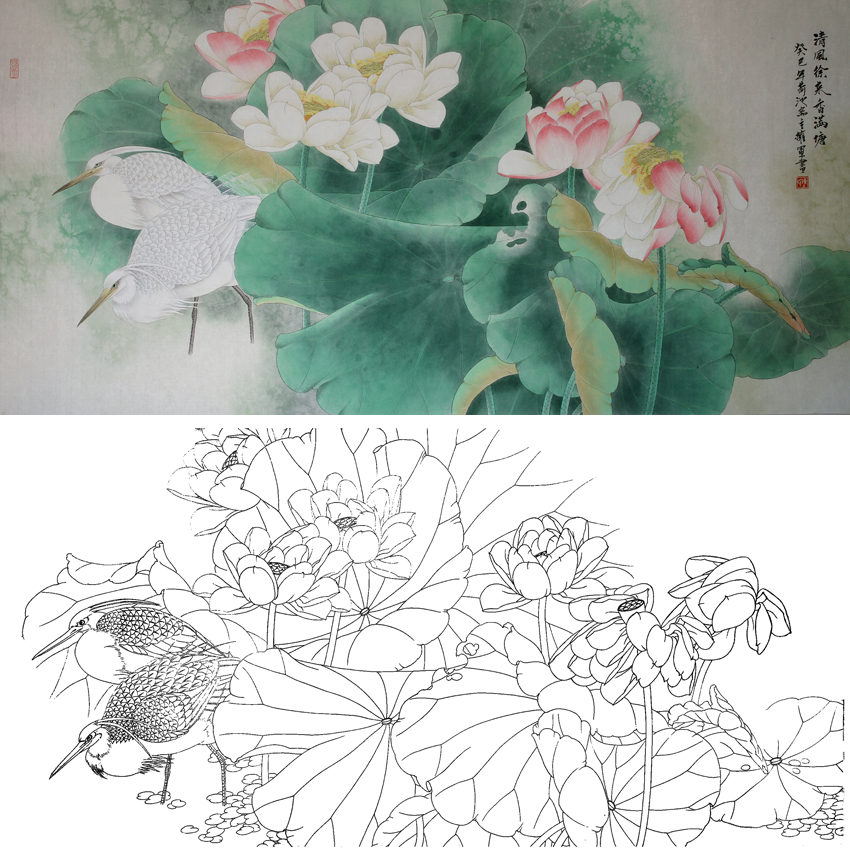 白描底稿-工笔四尺六尺横幅花鸟-荷花白鹭-a173
