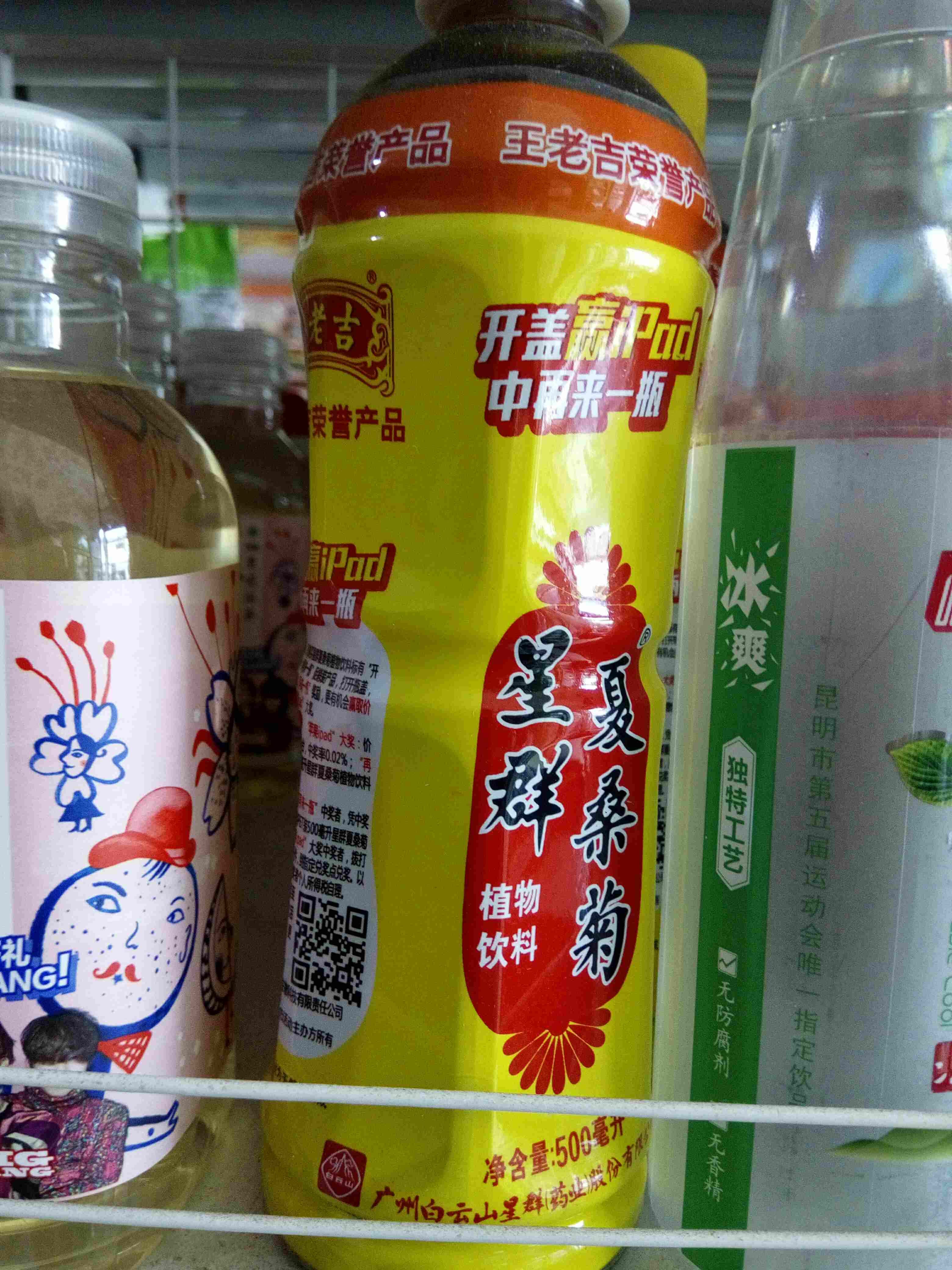 夏桑菊植物饮料