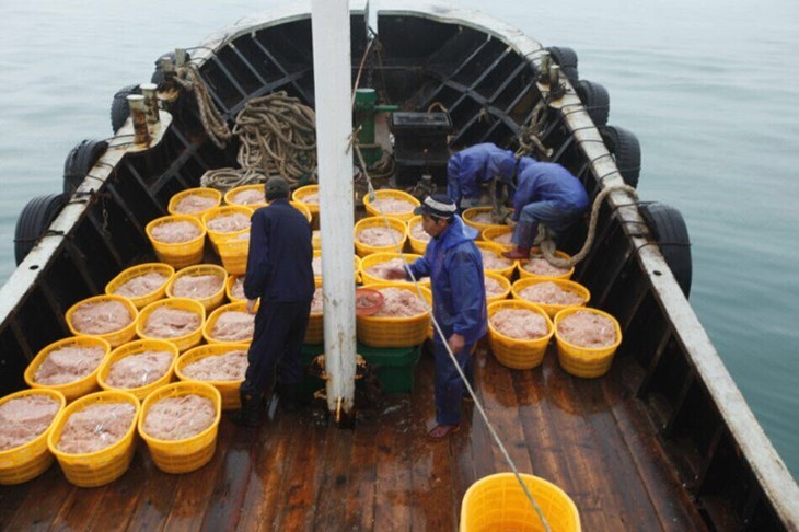 石浦刘老大家虾皮紫菜 最简单的鲜汤组合