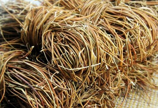 411鸡骨草 捆 商品图0