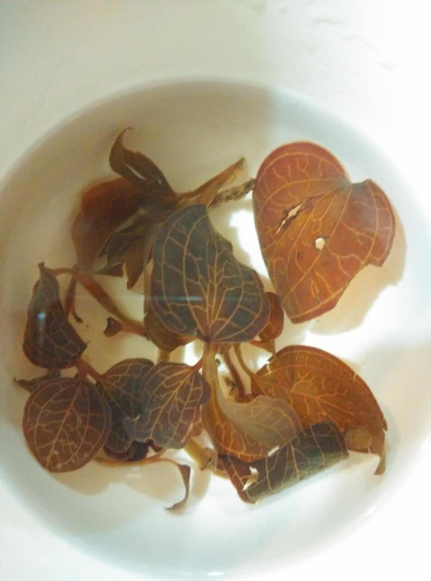 野生金线莲50克