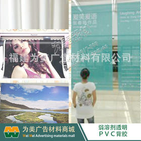 易森透明车身贴