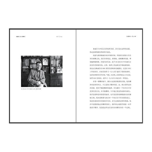 【醉醒客系列】雨滴在卡夫卡墓碑上 李辉 商品图1