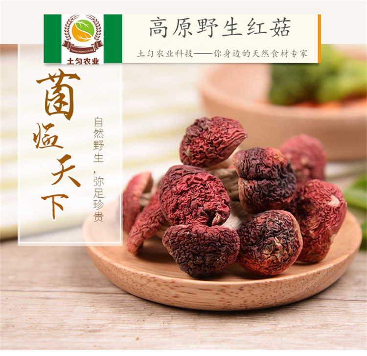 云南临沧野生红菇 - 临沧土特产