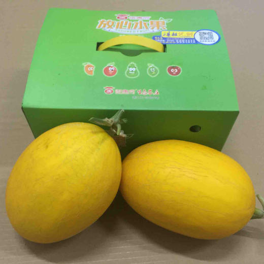 新鲜脆甜皮薄—“桂蜜-12”甜瓜（一箱2只，单果3斤左右）御唐府螺岗岭生态农庄绿色种植 一株挂一果 商品图0