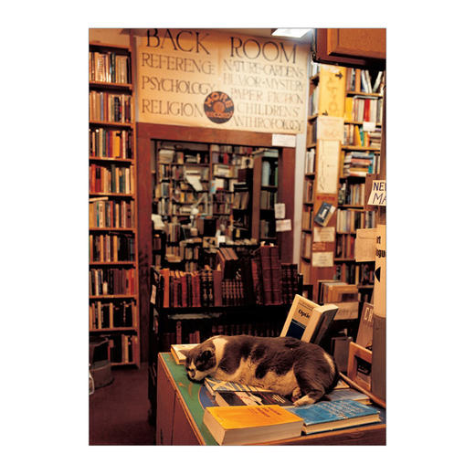 自在的旅行 [居ごこちのよい旅] 中信出版社图书 商品图2