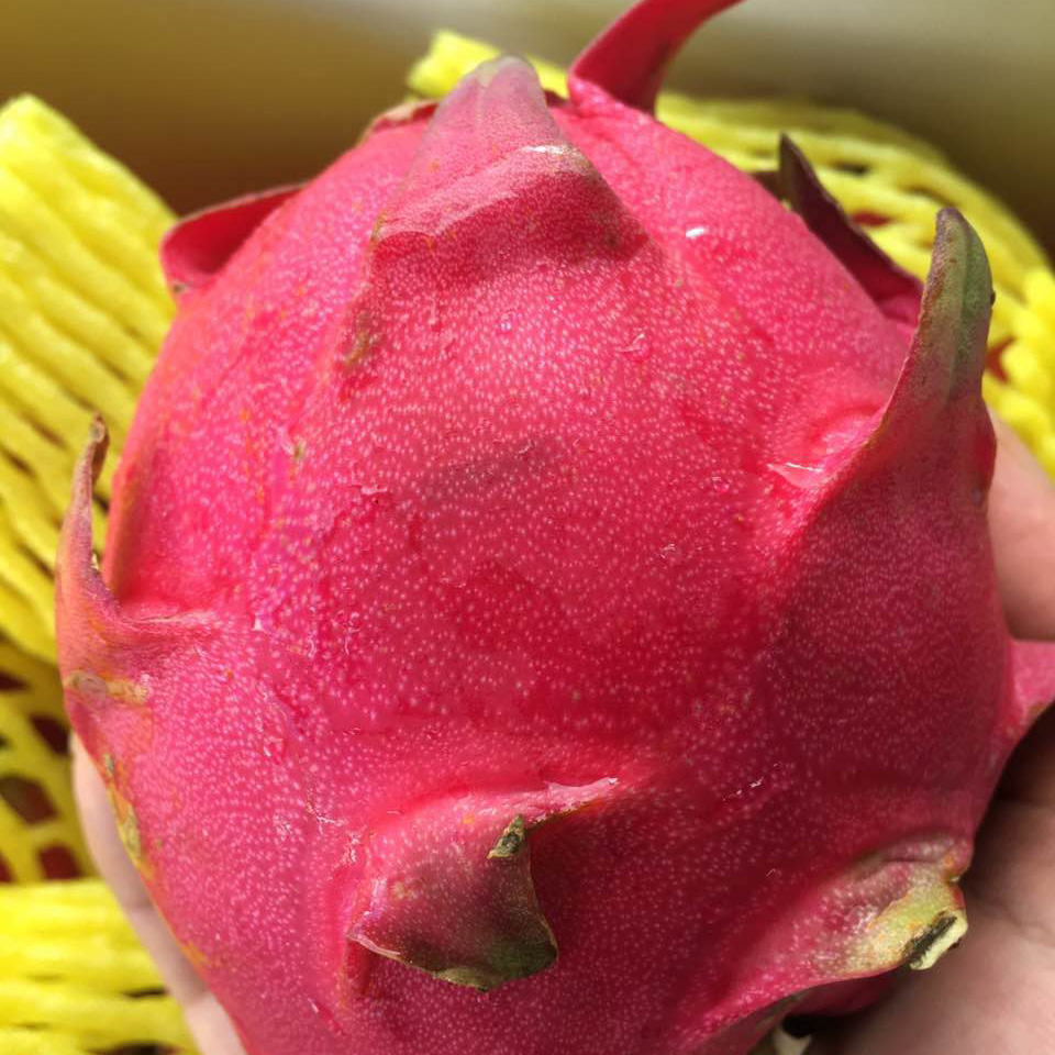 「水果优选」台湾蜜宝火龙果