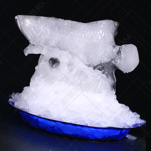 冰雕模具 金龙鱼 刺身冰雕 琼脂雕 大型冰雕模具