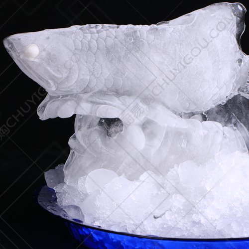 冰雕模具 金龙鱼 刺身冰雕 琼脂雕 大型冰雕模具
