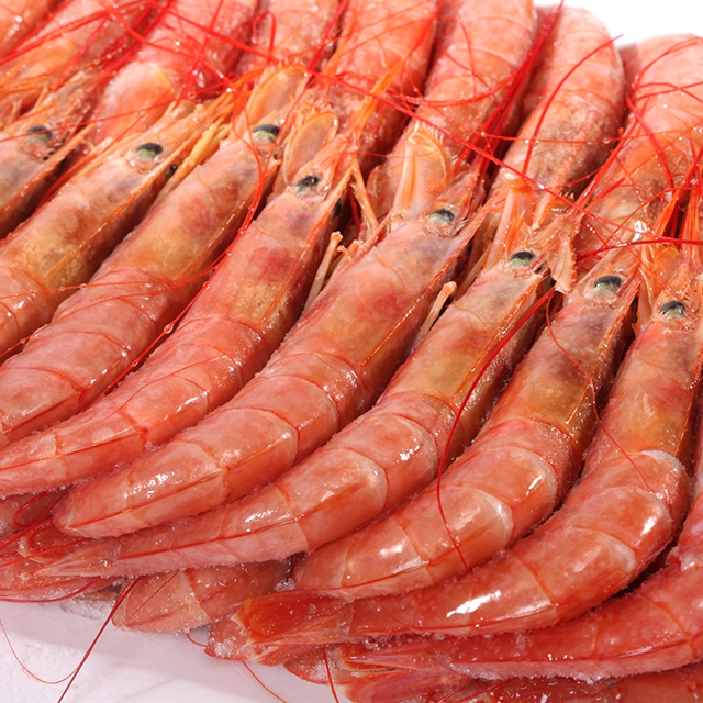 百团大战广参堂野生阿根廷红虾2kg辽宁省内包邮省外付邮参团
