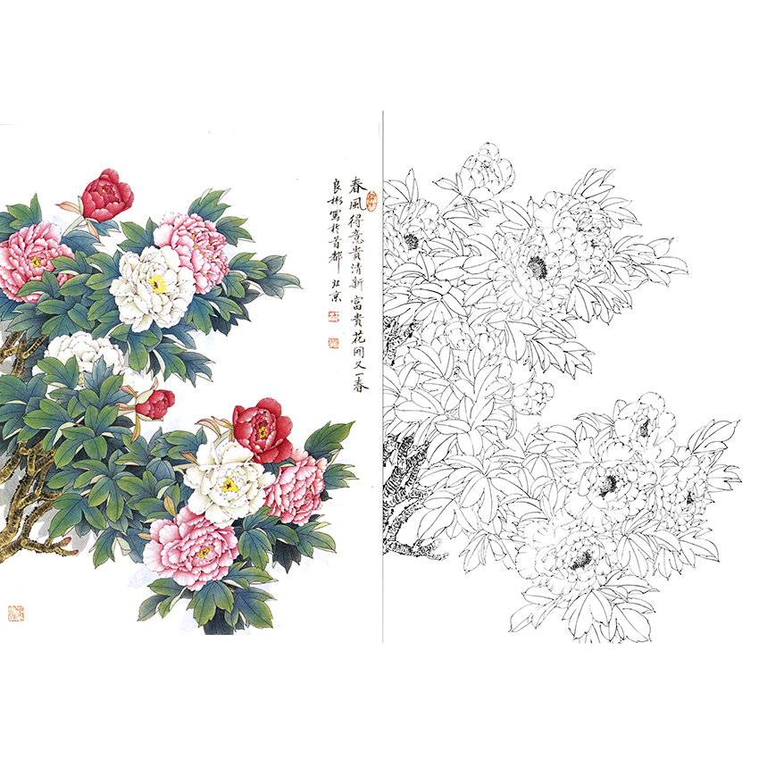 白描底稿-工笔花卉-牡丹-a228 - 工笔底稿商城
