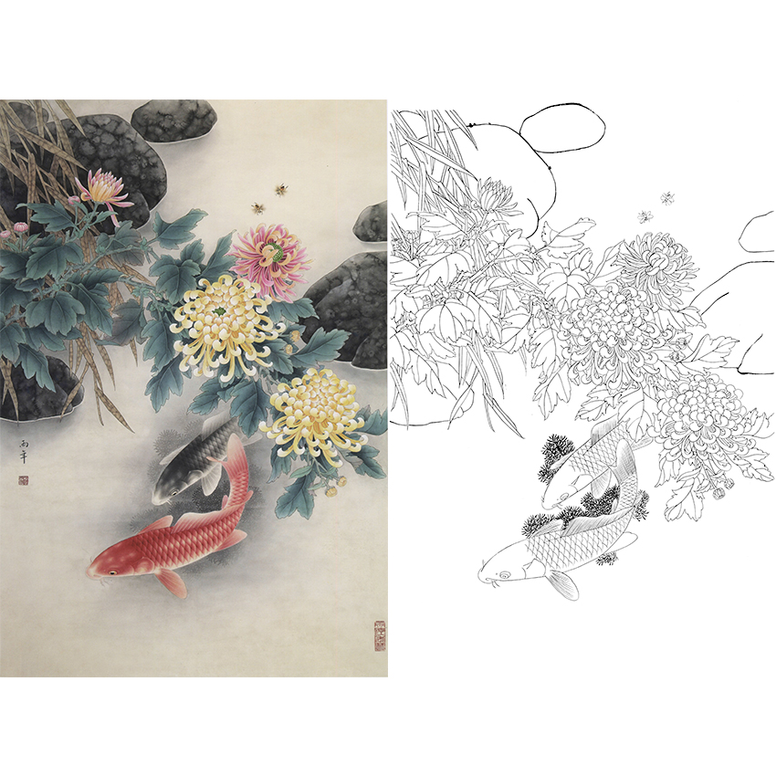 白描底稿-路雨年工笔花鸟-菊花鲤鱼-a217
