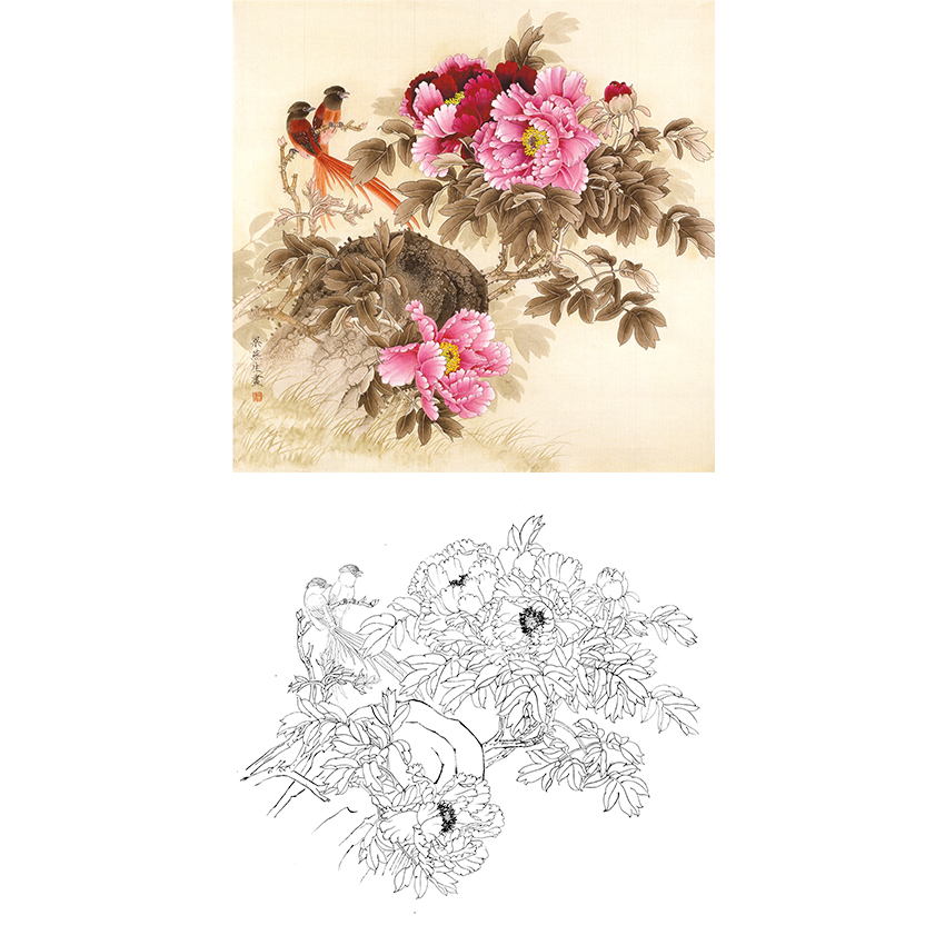 斗方小品白描底稿-梁燕生工笔花鸟-牡丹-a278