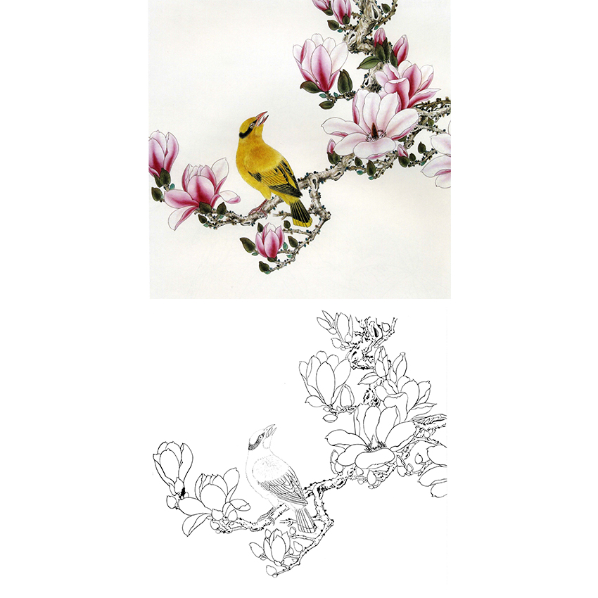白描底稿-工笔花鸟-a298