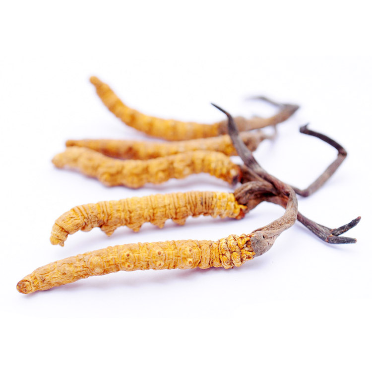 养心堂冬虫夏草 18g/盒