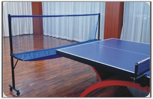 泰德Y&amp;T收球网集球网 商品图3