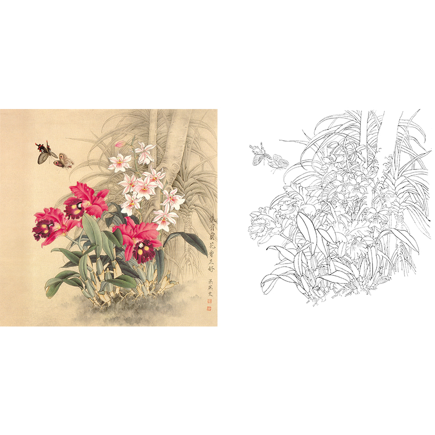 白描底稿-工笔花鸟-a277